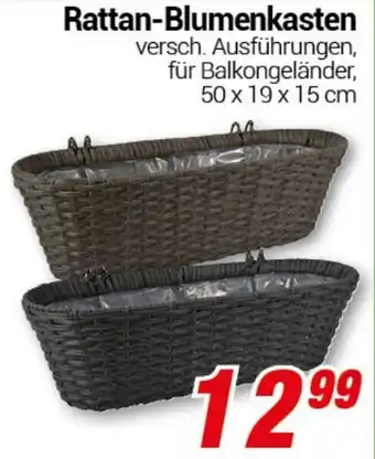 CENTERSHOP Rattan-Blumenkasten Angebot