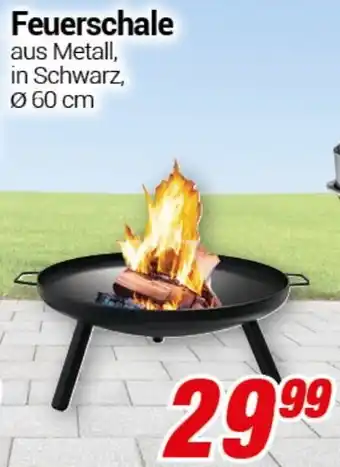CENTERSHOP Feuerschale Angebot