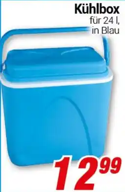 CENTERSHOP Kühlbox Angebot