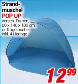 CENTERSHOP Strand- muschel POP UP Angebot