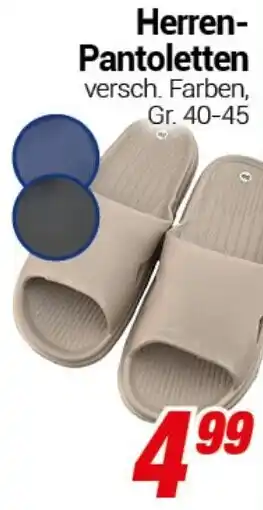 CENTERSHOP Herren- Pantoletten Angebot