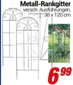 CENTERSHOP Metall-Rankgitter Angebot
