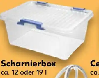 Kaufland Scharnierbox ca. 12 oder 19 I Angebot