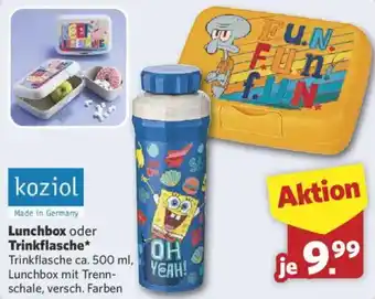 Combi Koziol Lunchbox oder Trinkflasche Angebot