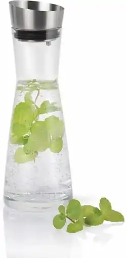 Opti Wohnwelt blomus Wasserkaraffe Aldoa Angebot