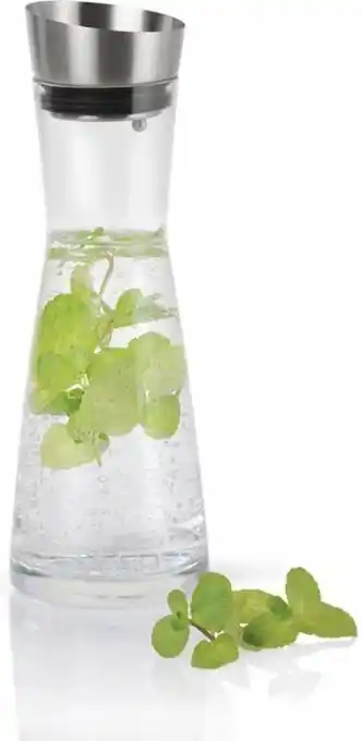 Opti Wohnwelt blomus Wasserkaraffe Aldoa Angebot