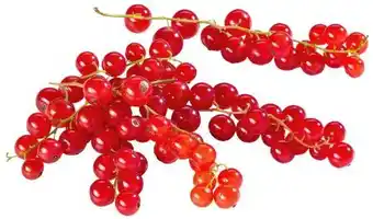 Kaufland Rote Johannisbeeren Angebot