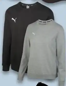 Kaufland Puma Herren Sweatshirt Angebot