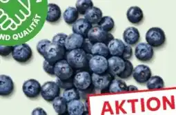 Kaufland Kulturheidelbeeren Angebot
