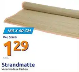 Action Strandmatte Angebot