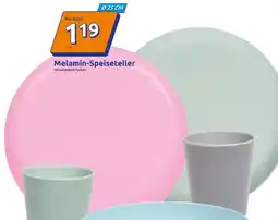 Action Melamin-Speiseteller Angebot
