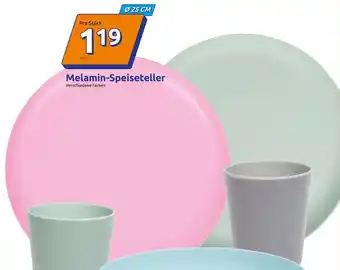 Action Melamin-Speiseteller Angebot