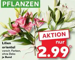 Kaufland Lilien oriental Angebot
