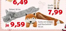 Zookauf Fuchs Angebot