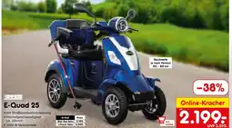 Netto Marken-Discount Rolektro e-quad 25 Angebot
