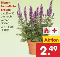 Netto Marken-Discount Bienenfreundliche Staude Angebot