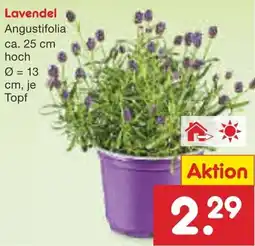 Netto Marken-Discount Lavendel Angebot