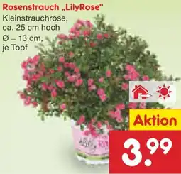 Netto Marken-Discount Rosenstrauch ,,Lily Rose" Angebot