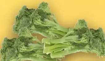 Handelshof Bimi Broccolini Angebot