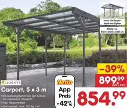 Netto Marken-Discount JUSKYS Carport, 5 x 3 m Angebot