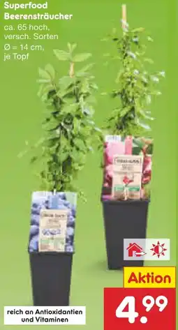 Netto Marken-Discount Superfood Beerensträucher Angebot