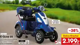 Netto Marken-Discount Rolektro E-Quad 25 Angebot
