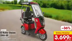 Netto Marken-Discount Rolektro E-Roller Deisla DS3-25 Angebot