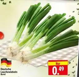 Edeka Herkules Lauchzwiebeln Angebot