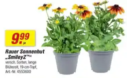toom Baumarkt Rauer Sonnenhut „SmileyZ™ Angebot