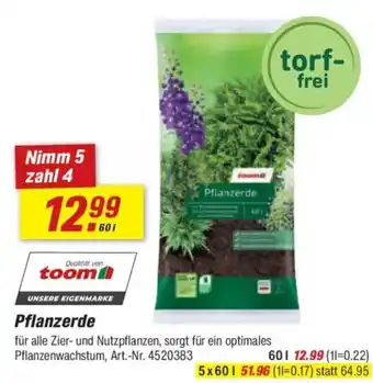toom Baumarkt toom Pflanzerde Angebot