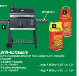 toom Baumarkt Grill-Holzkohle Angebot