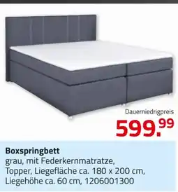 ROLLER Boxspringbett Angebot