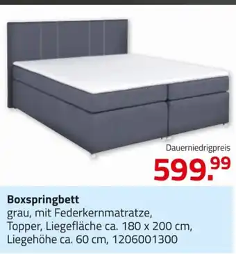 ROLLER Boxspringbett Angebot