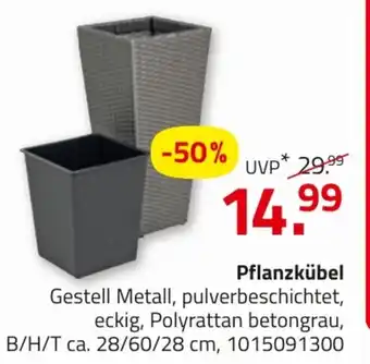 ROLLER Pflanzkübel Angebot