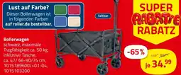 ROLLER Bollerwagen Angebot