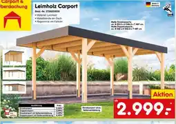 Netto Marken-Discount Leimholz Carport Angebot