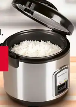 Woolworth Gourmetmaxx Reiskocher Angebot