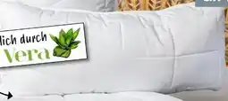 Woolworth Aloe Vera Kopfkissen Angebot