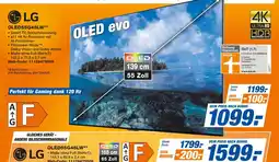 Expert Lg oled fernseher Angebot