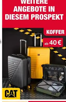 Woolworth Cat koffer Angebot