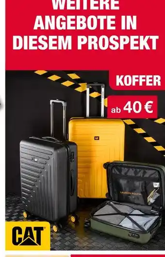 Woolworth Cat koffer Angebot