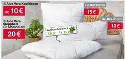 Woolworth Aloe vera kopfkissen Angebot