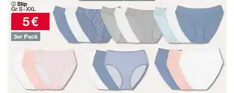 Woolworth Slip Angebot