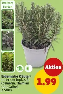 PENNY Italienische Kräuter Angebot