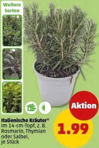 PENNY Italienische Kräuter Angebot