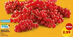 PENNY Deutsche Rote Johannisbeeren Angebot