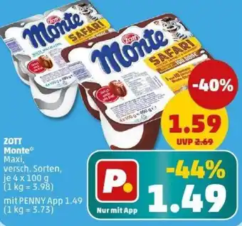 PENNY ZOTT Monte Angebot