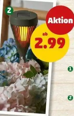 PENNY HOME IDEAS seasons Solarsteckfackel Angebot