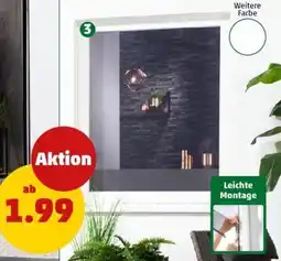 PENNY CULEX Fliegenschutzgitter Angebot