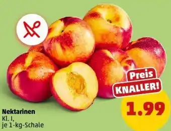 PENNY Nektarinen Angebot